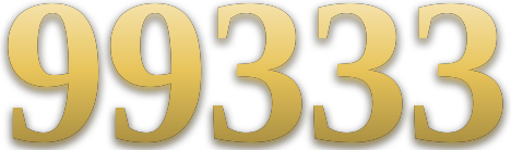 99333 logo